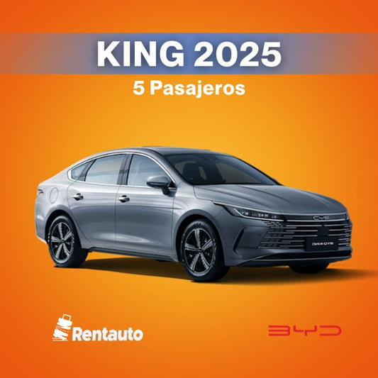 BYD King 2025